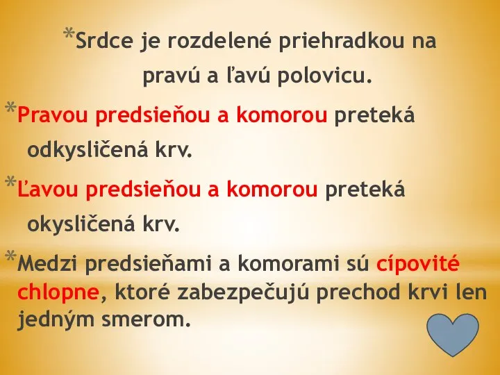 Srdce je rozdelené priehradkou na pravú a ľavú polovicu. Pravou predsieňou a