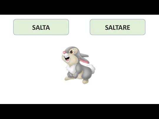 SALTA SALTARE