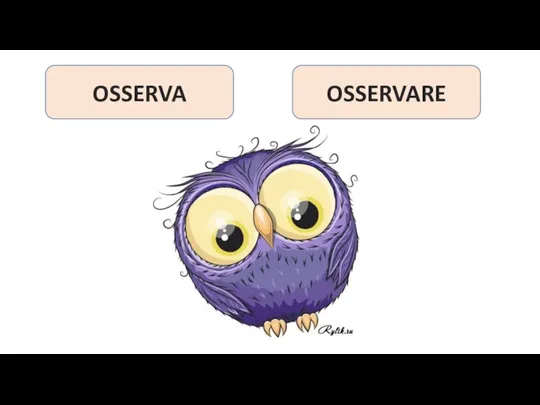 OSSERVA OSSERVARE