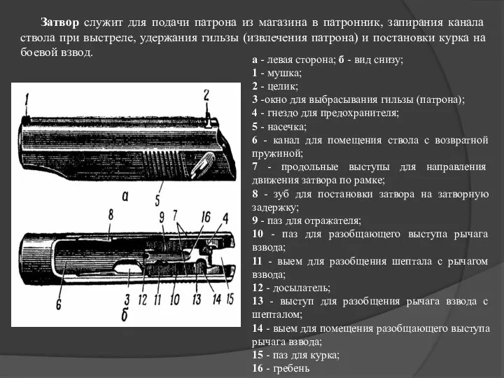 Затвор служит для подачи патрона из магазина в патронник, запирания канала ствола