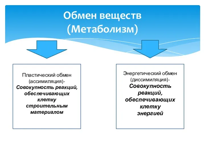 Обмен веществ (Метаболизм) Пластический обмен (ассимиляция)-Совокупность реакций, обеспечивающих клетку строительным материалом Энергетический