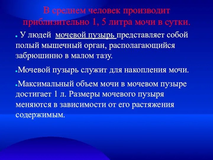 В среднем человек производит приблизительно 1, 5 литра мочи в сутки. У