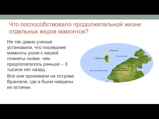 Что поспособствовало продолжительной жизни отдельных видов мамонтов? Не так давно ученые установили,