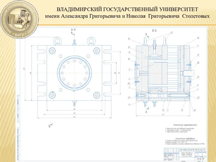 ВЛАДИМИРСКИЙ ГОСУДАРСТВЕННЫЙ УНИВЕРСИТЕТ имени Александра Григорьевича и Николая Григорьевича Столетовых