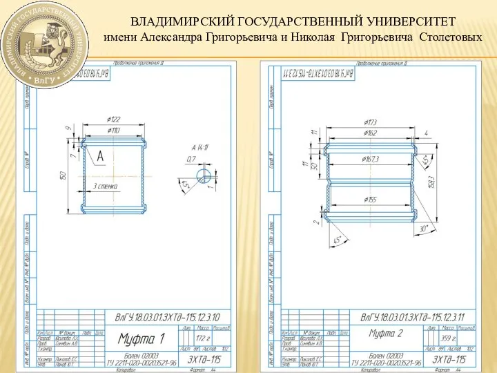 ВЛАДИМИРСКИЙ ГОСУДАРСТВЕННЫЙ УНИВЕРСИТЕТ имени Александра Григорьевича и Николая Григорьевича Столетовых