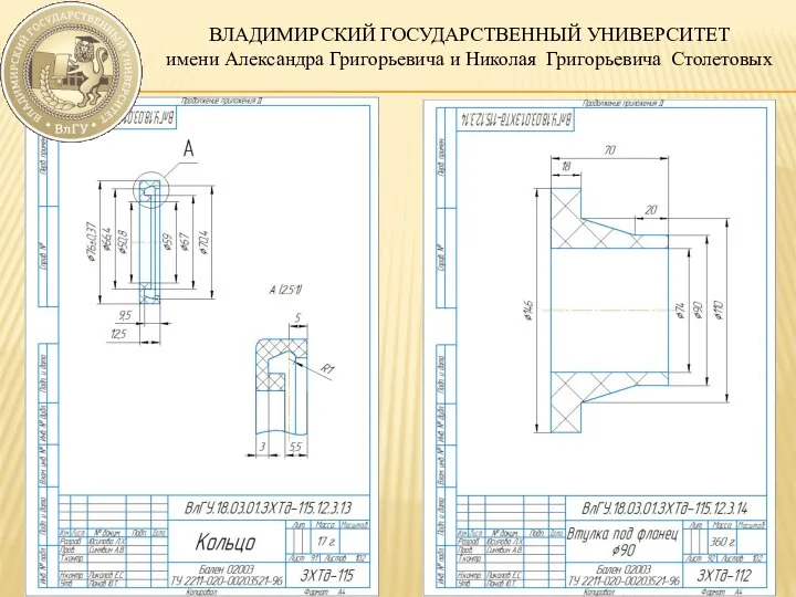 ВЛАДИМИРСКИЙ ГОСУДАРСТВЕННЫЙ УНИВЕРСИТЕТ имени Александра Григорьевича и Николая Григорьевича Столетовых