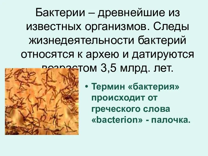 Бактерии – древнейшие из известных организмов. Следы жизнедеятельности бактерий относятся к архею