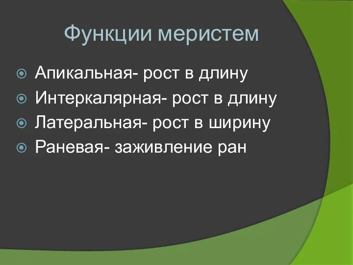 Функции меристем Апикальная- рост в длину Интеркалярная- рост в длину Латеральная- рост