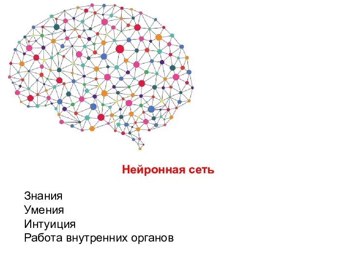 Нейронная сеть Знания Умения Интуиция Работа внутренних органов