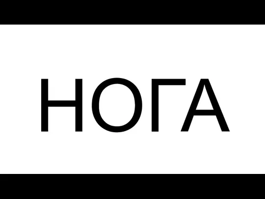 НОГА