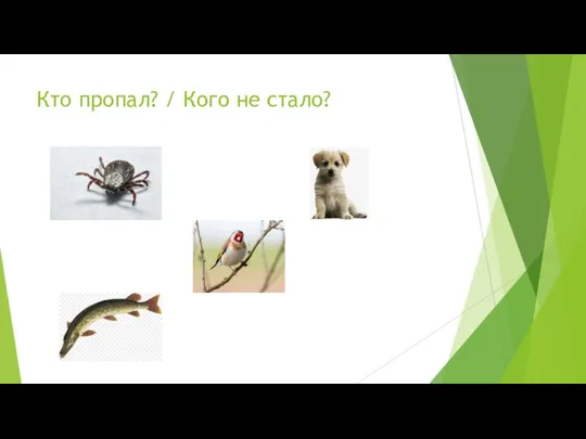 Кто пропал? / Кого не стало?