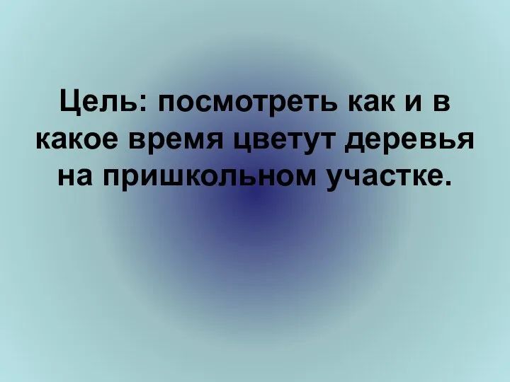 Цель: посмотреть как и в какое время цветут деревья на пришкольном участке.