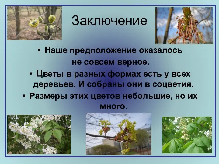 Заключение Наше предположение оказалось не совсем верное. Цветы в разных формах есть