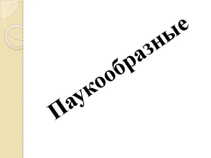 Паукообразные