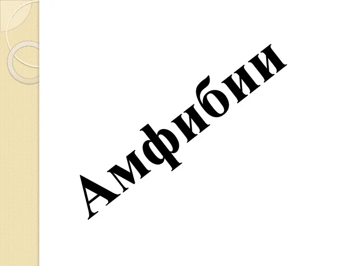 Амфибии