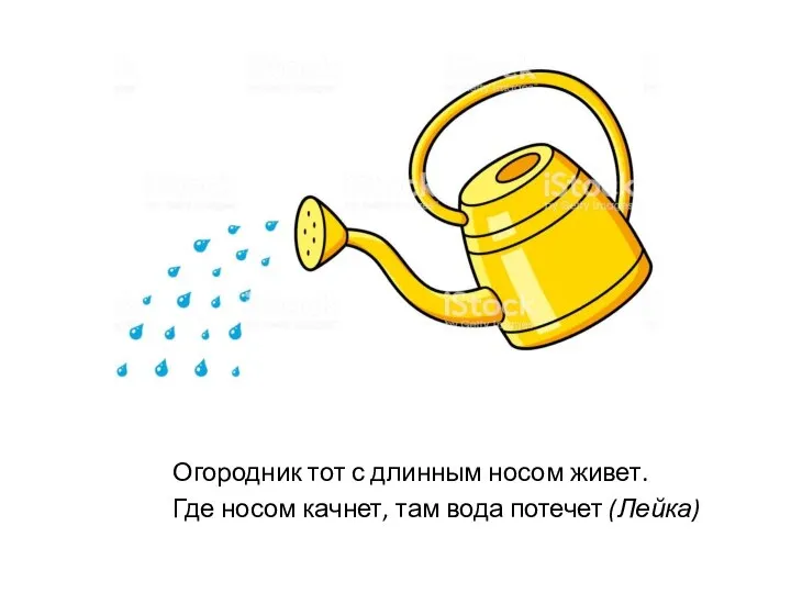 Огородник тот с длинным носом живет. Где носом качнет, там вода потечет (Лейка)