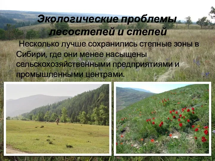 Несколько лучше сохранились степные зоны в Сибири, где они менее насыщены сельскохозяйственными