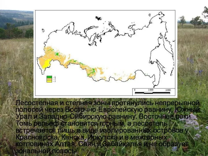 Лесостепная и степная зоны протянулись непрерывной полосой через Восточно-Европейскую равнину, Южный Урал