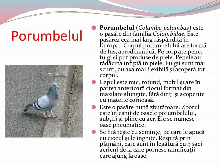 Porumbelul Porumbelul (Columba palumbus) este o pasăre din familia Columbidae. Este pasărea