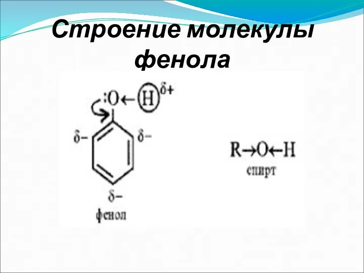 Строение молекулы фенола