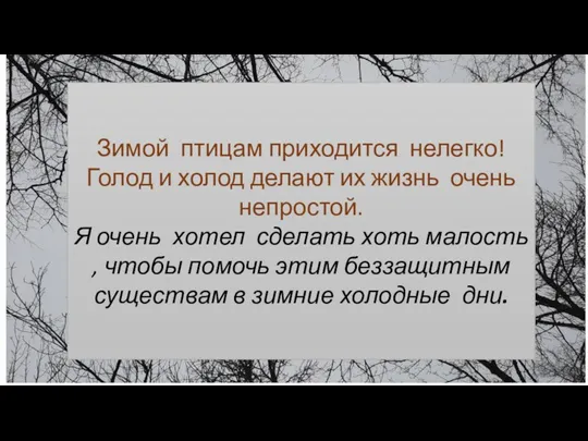 Зимой птицам приходится нелегко! Голод и холод делают их жизнь очень непростой.