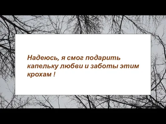 Надеюсь, я смог подарить капельку любви и заботы этим крохам !