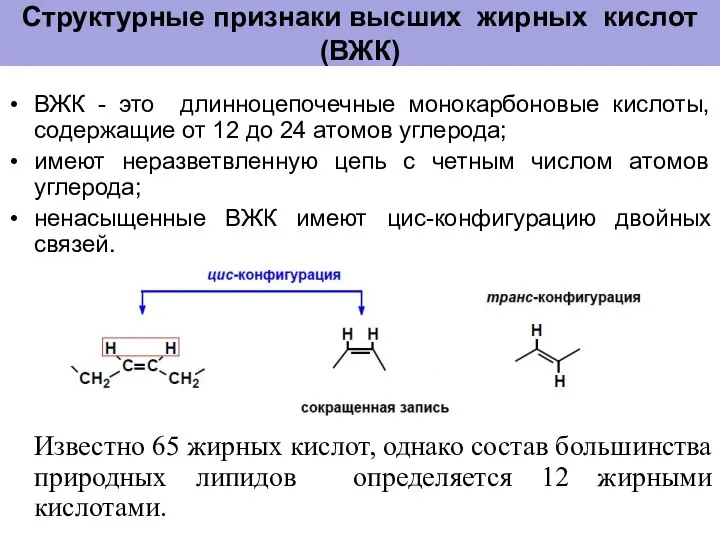 Структурные признаки высших жирных кислот (ВЖК) ВЖК - это длинноцепочечные монокарбоновые кислоты,