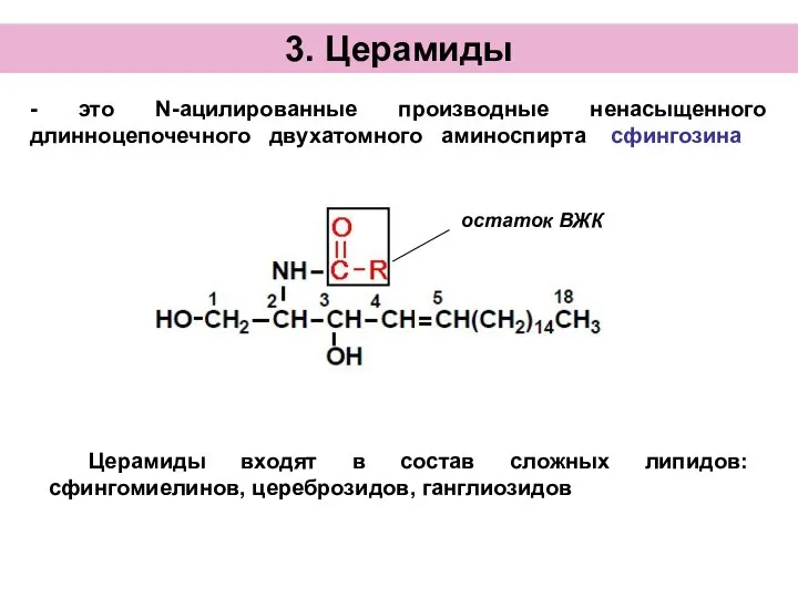 3. Церамиды - это N-ацилированные производные ненасыщенного длинноцепочечного двухатомного аминоспирта сфингозина Церамиды