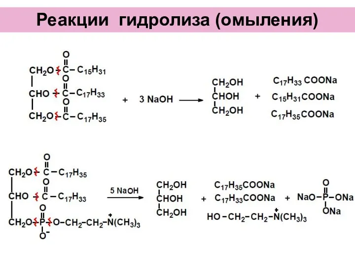 Реакции гидролиза (омыления)