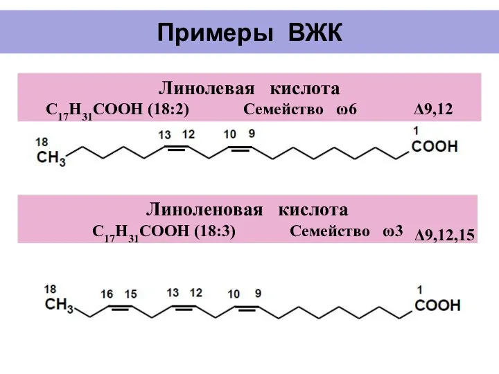 Примеры ВЖК Линолевая кислота С17Н31СООН (18:2) Семейство ω6 Δ9,12 Линоленовая кислота С17Н31СООН (18:3) Семейство ω3 Δ9,12,15