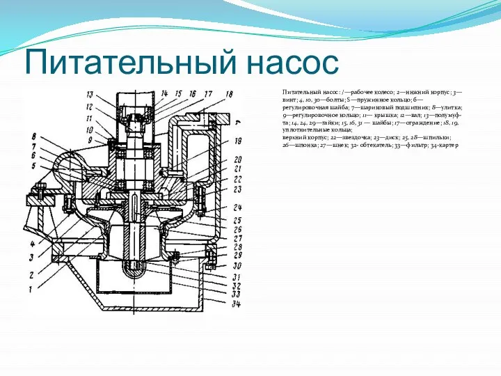 Питательный насос Питательный насос: /—рабочее колесо; 2—ннжний корпус; 3—винт; 4, 10, 30—бол­ты;