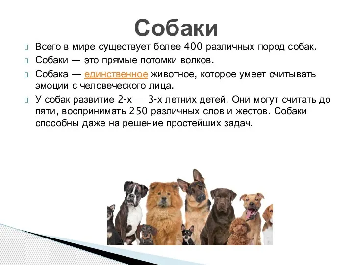 Всего в мире существует более 400 различных пород собак. Собаки — это