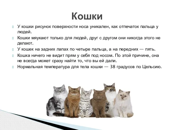 У кошки рисунок поверхности носа уникален, как отпечаток пальца у людей. Кошки