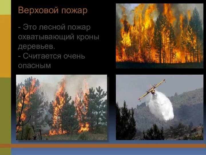 Верховой пожар - Это лесной пожар охватывающий кроны деревьев. - Считается очень опасным