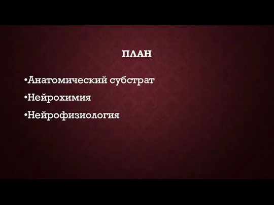 ПЛАН Анатомический субстрат Нейрохимия Нейрофизиология