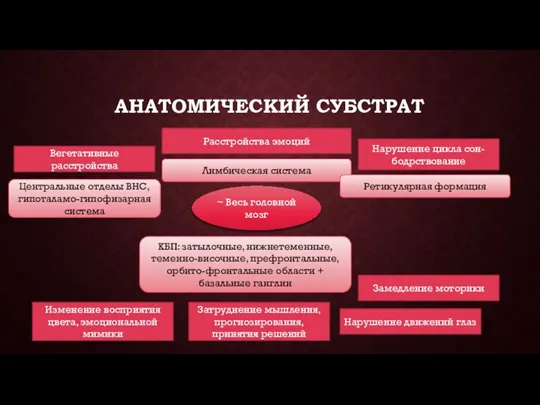 АНАТОМИЧЕСКИЙ СУБСТРАТ Расстройства эмоций Нарушение цикла сон-бодрствование Вегетативные расстройства Изменение восприятия цвета,