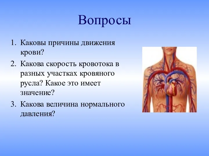 Вопросы Каковы причины движения крови? Какова скорость кровотока в разных участках кровяного