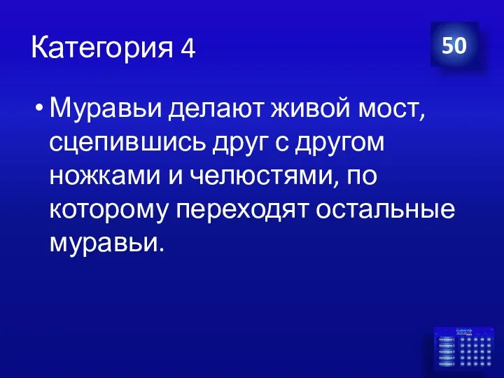 Категория 4 Муравьи делают живой мост, сцепившись друг с другом ножками и