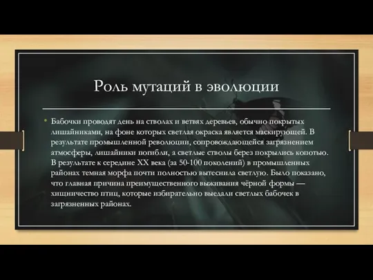 Роль мутаций в эволюции Бабочки проводят день на стволах и ветвях деревьев,