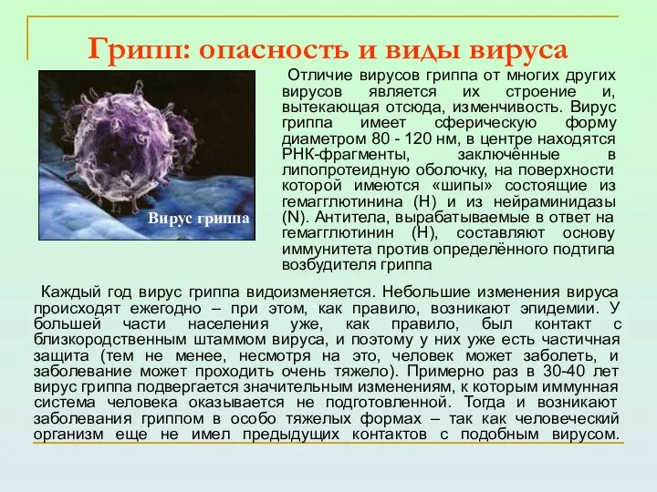 Грипп: опасность и виды вируса Каждый год вирус гриппа видоизменяется. Небольшие изменения