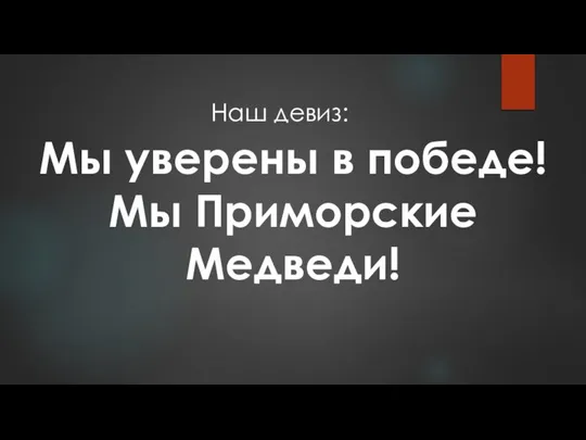 Мы уверены в победе! Мы Приморские Медведи! Наш девиз: