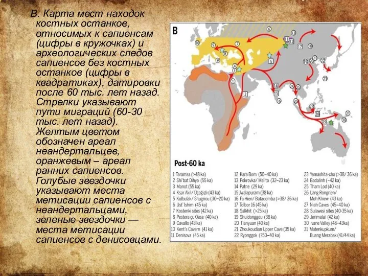 В. Карта мест находок костных останков, относимых к сапиенсам (цифры в кружочках)