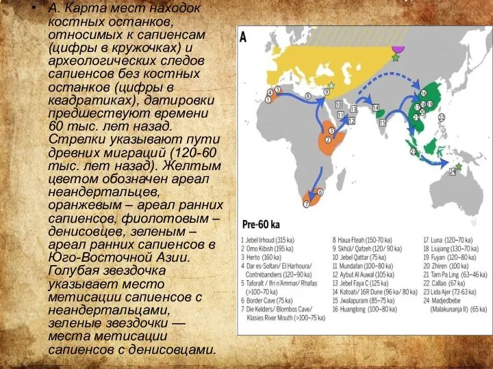 А. Карта мест находок костных останков, относимых к сапиенсам (цифры в кружочках)