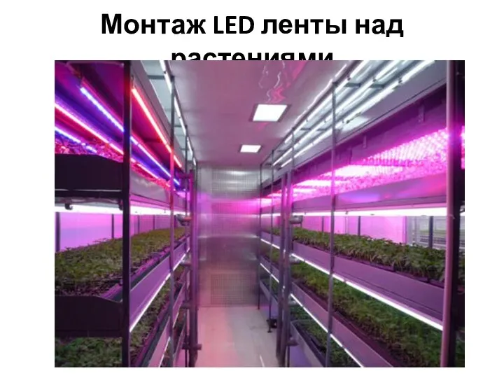Монтаж LED ленты над растениями