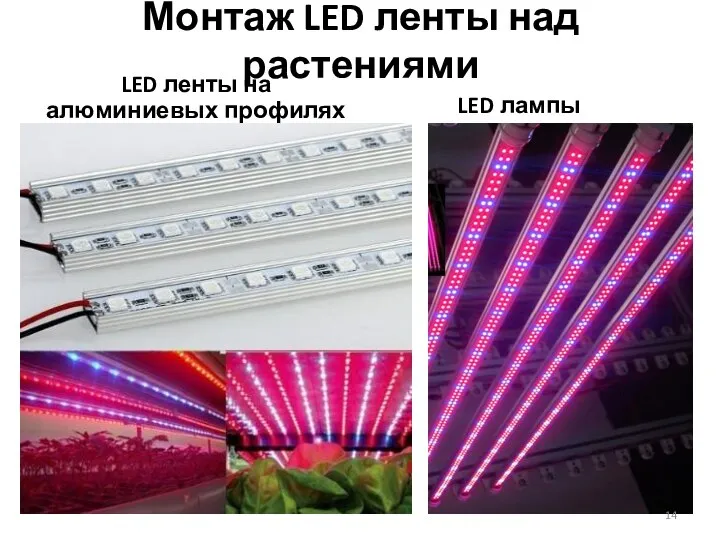 Монтаж LED ленты над растениями LED ленты на алюминиевых профилях LED лампы