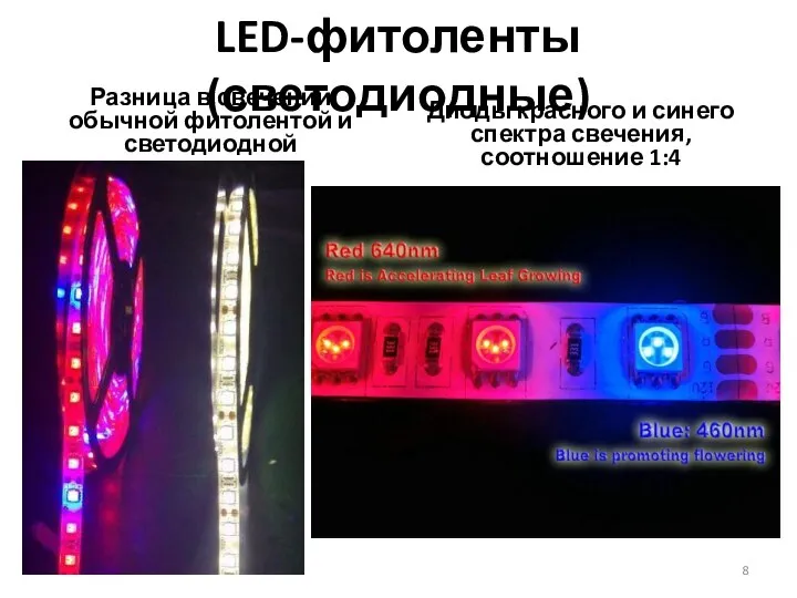 LED-фитоленты (светодиодные) Разница в свечении обычной фитолентой и светодиодной Диоды красного и