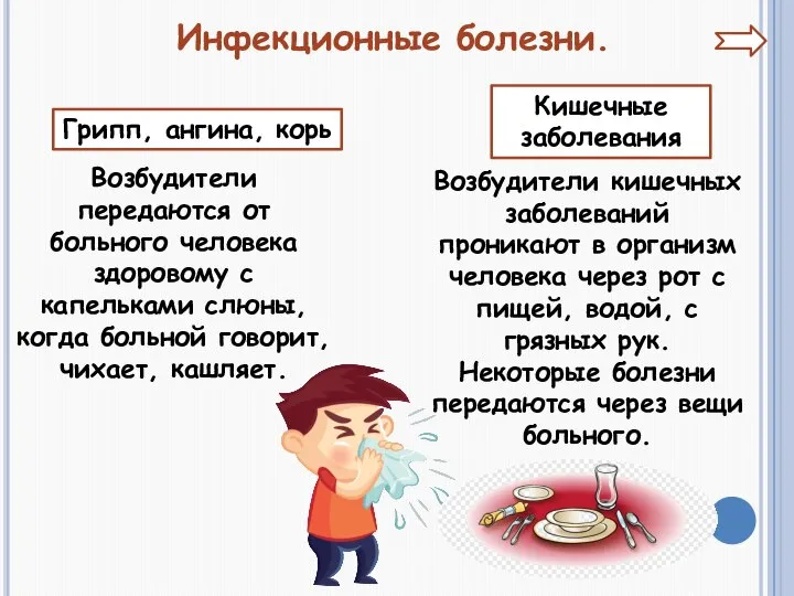 Инфекционные болезни. Грипп, ангина, корь Кишечные заболевания Возбудители передаются от больного человека