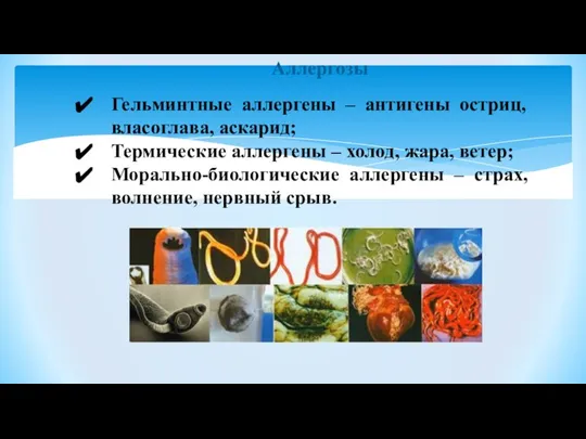 Аллергозы Гельминтные аллергены – антигены остриц, власоглава, аскарид; Термические аллергены – холод,