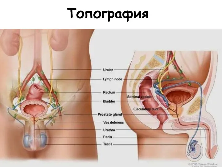 Топография