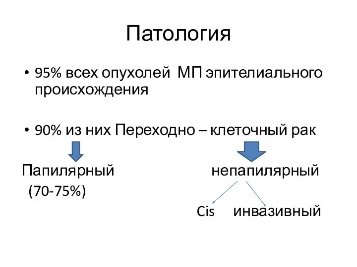 Патология 95% всех опухолей МП эпителиального происхождения 90% из них Переходно –